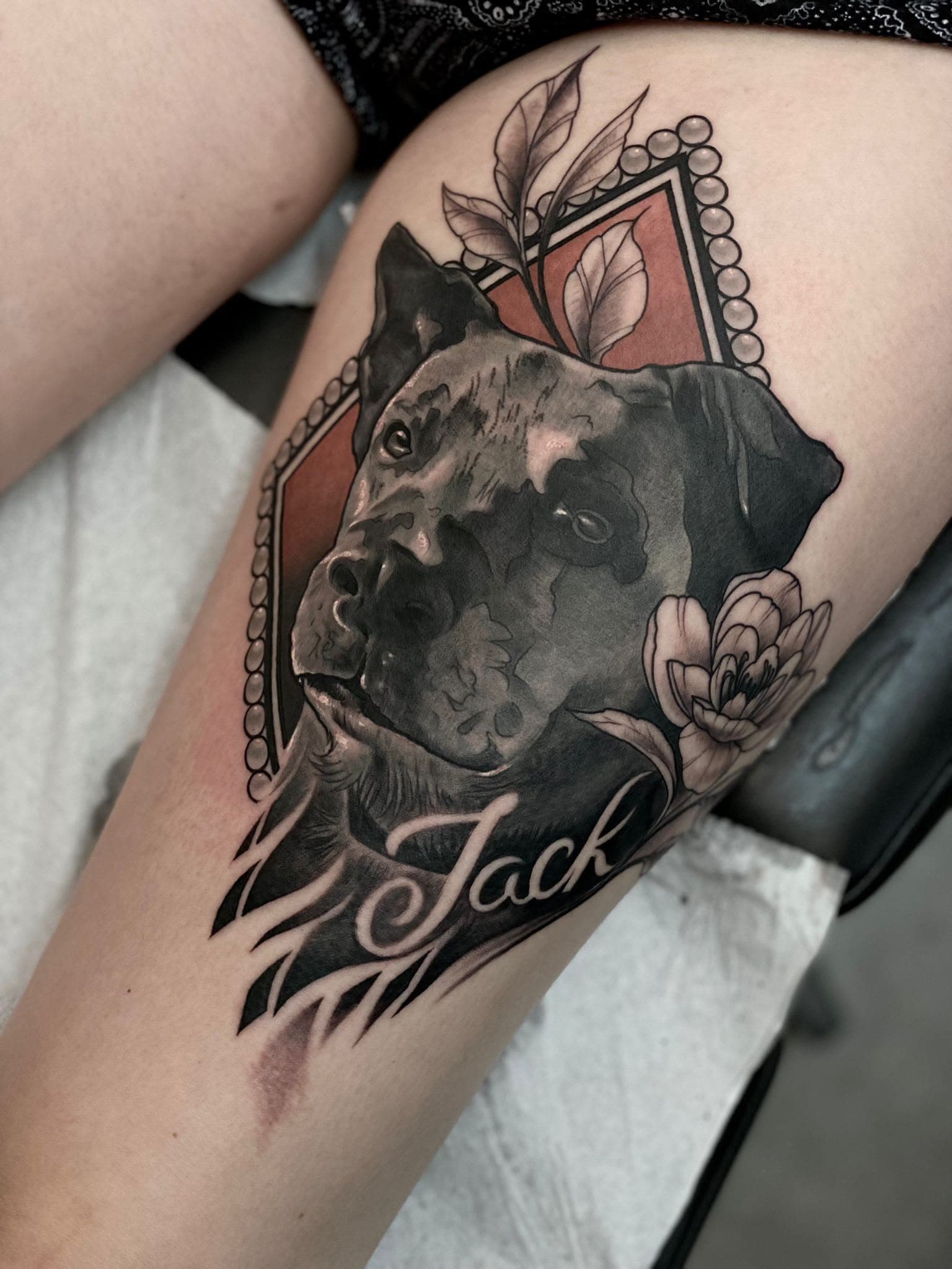 Hundeportrait "Jack"