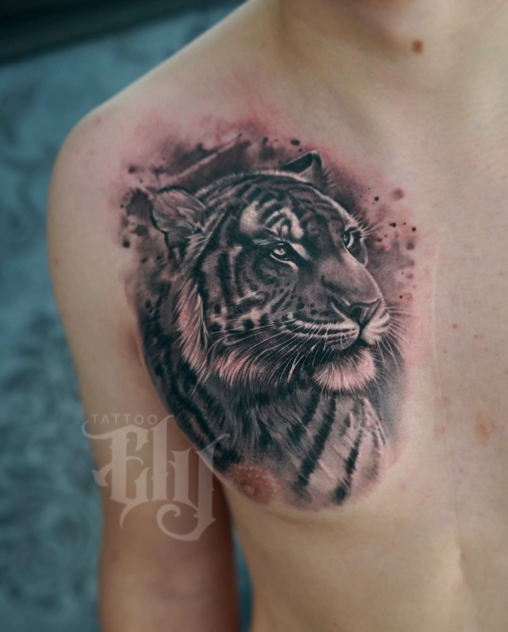 Tiger-Portrait auf der Brust